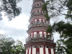 -顺峰山公园