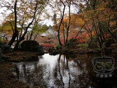 -醍醐寺