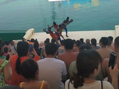 -秦皇岛乐岛海洋王国