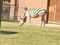 -祥源·阜阳生态乐园