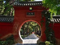 -洛阳白马寺