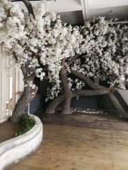 -唯一视觉婚纱摄影(李家村店)