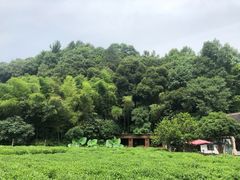 -杭州西湖风景名胜区-三生石