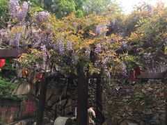 -龙口南山旅游景区