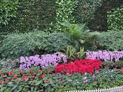 -石家庄市植物园