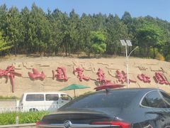 -蟒山国家森林公园天池停车场