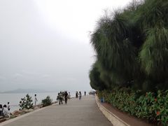 -深圳湾公园(南山区)