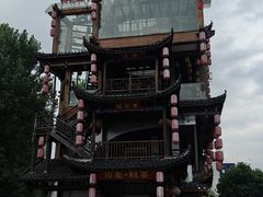 -印象鲵宴·张家界地标美食名片(溪布街店)