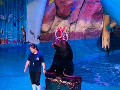 -烟台海昌鲸鲨海洋公园