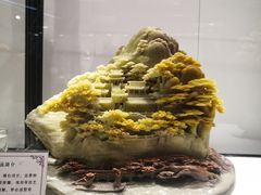 -中华世纪坛