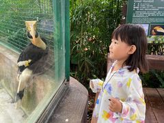 -海南热带野生动植物园