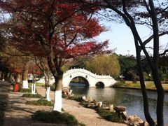 IMG_7856-焦山风景区