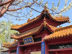 -桃花堤公园