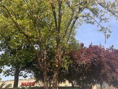 -时间仓(月湖公园店)