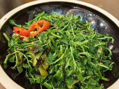 -园林美食城·本土农家菜(杨和镇店)