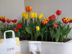 -自然熟Bakery(纬四路店)