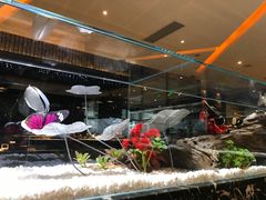 -红辣椒·川菜·火锅(大洋中心店)