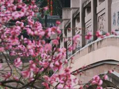 -成都杜甫草堂博物馆