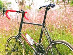 -白鹭湾湿地公园