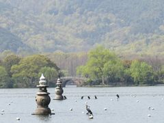 -西湖外事游船(花港观鱼码头)