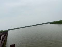 -西青郊野公园