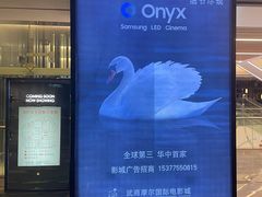 -武商摩尔影城(国广IMAX激光店)