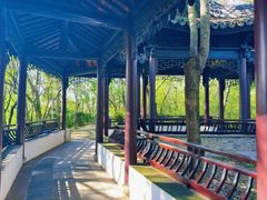 -上海佘山国家森林公园天马山园