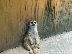 -杭州野生动物世界