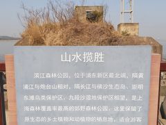-上海滨江森林公园