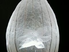 -上海琉璃艺术博物馆