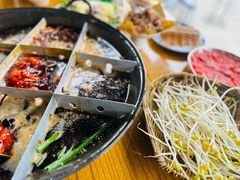 -五里关火锅(牛市口店)