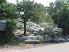 -原山国家森林公园