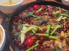 -老板恋上鱼(恒隆广场店)