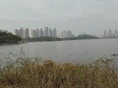 -月湖风景区