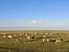 -青海湖国家重点风景名胜区