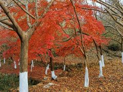 -白马涧龙池景区
