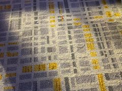 -上海红塔豪华精选酒店
