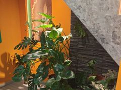 -泰古龙抓龙筋·spa按摩(静安店)