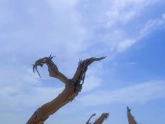 -新疆天山托木尔景区·大峡谷