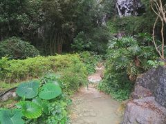 -长寿村