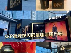 -北京SKP