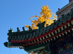 -天津大悲禅院