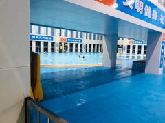 -武钢体育中心恒温游泳馆