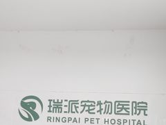 -瑞派天宁宠物医院·猫科·异宠中心