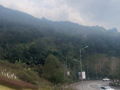 -铁山坪森林公园