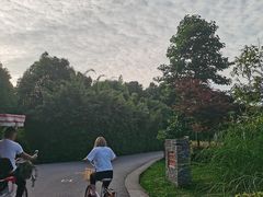 -贵阳市花溪国家城市湿地公园