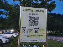 -大屏嶂森林公园