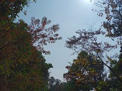 -火炉山森林公园