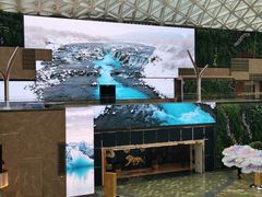 -视博茶点(美狮美高梅店)