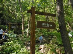 -大岭沟猕猴桃谷风景区